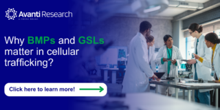 BMP and GSL Blog Image