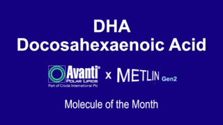 Dha For Website