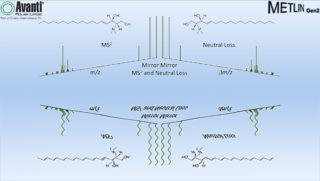Dimethyl Sohingosine Mo M