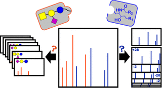 Glycosphingolipid Ms