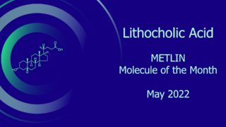 Lca Mot M Image For Website