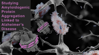 Ll Res Spot Image April