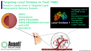 Lysyl Oxidase Research Spotlight Horizontal