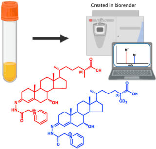 Oxysterol Splash Graphical Abstract