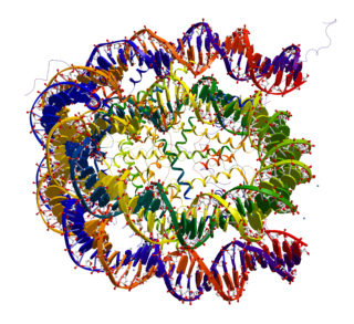 Protein Crystallography