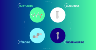 Lipidic Prodrugs Web Image