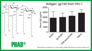 Phad Product Spotlight Image For Twitter