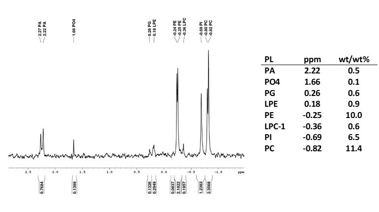 NMR-Blog-Photo.jpg#asset:68976