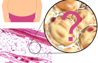 Ll Res Spotlight Horizontal For Website