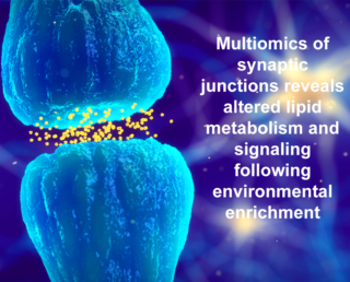 Ahrends Lipid Leader Research Spotlight Photo For Website