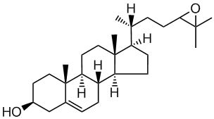24(R/S),25-epoxycholesterol | 72542-49-5 | Avanti