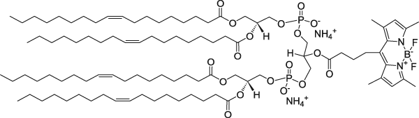 TopFluor™ Cardiolipin