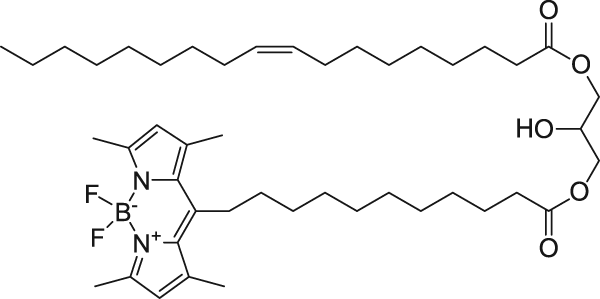 18:1-C11 TopFluor™ DG