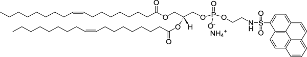 18:1 Pyrene PE