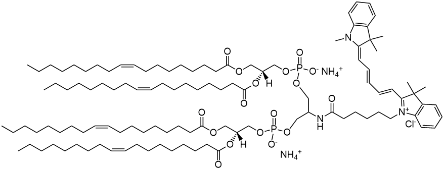 18:1 Cyanine 5 Cardiolipin