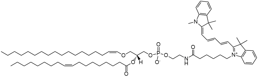 C18(Plasm)-18:1 Cyanine 5 PE