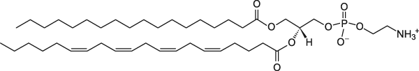 Liver PE