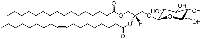 16:0-18:1 DG glucose
