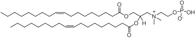 DOCP