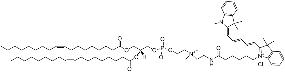 18:1 Cyanine 5 PC