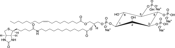 18:1-12:0 Biotin PIP<SUB>3</SUB>