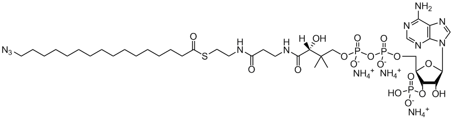 16:0 Azido Coenzyme A