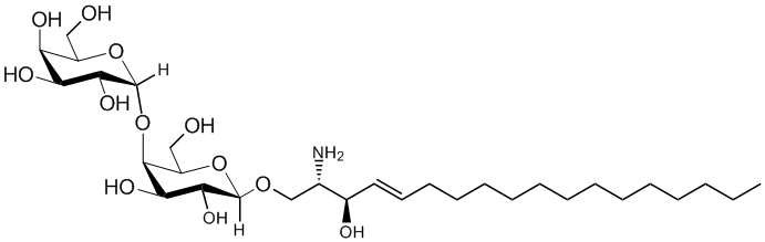 Lyso Gb2
