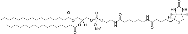 16:0 Biotinyl Cap PE