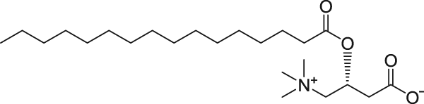 C16 Carnitine