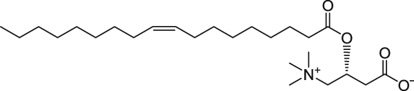 C18:1(Δ9-cis) Carnitine