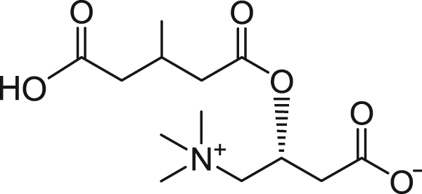 3-Me-Glutaryl Carnitine