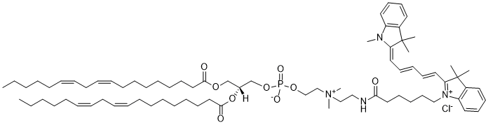 DLPC-Cyanine 5