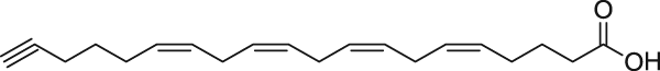arachidonic acid-alkyne