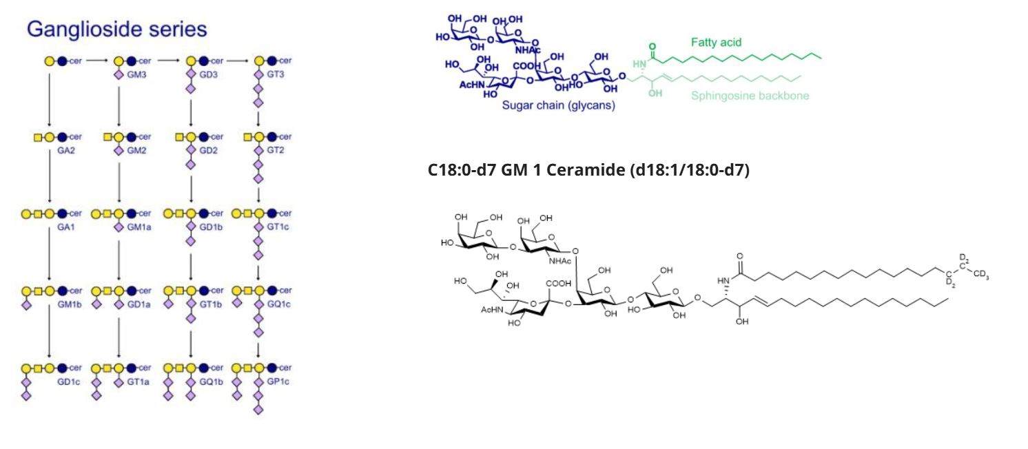 Gangliosides series structures