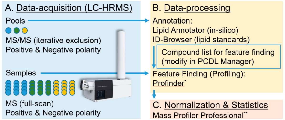 Image from Orignal Research Publication Most recently, the collaborative efforts between Yale University, the University of Florida, and Agilent Technologies produced the Lipid Annotator and Mass Profiler Professional Software. This software development relied heavily on Avanti standards to develop a library of lipid MS/MS data. Avanti pipeline products will also be used in the future to continue the growth of the lipid library of MS/MS data. The Lipid Annotator software is available at Agilent Technologies and more information can be viewed by clicking HERE.